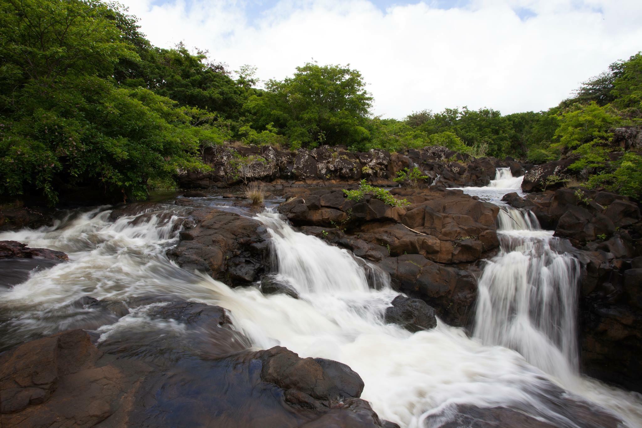 ホテル エヴァザイオン Grand River South East エクステリア 写真